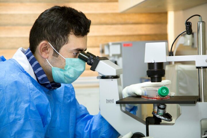 پژوهش؛ سوخت موتور توسعه همه جانبه فارس