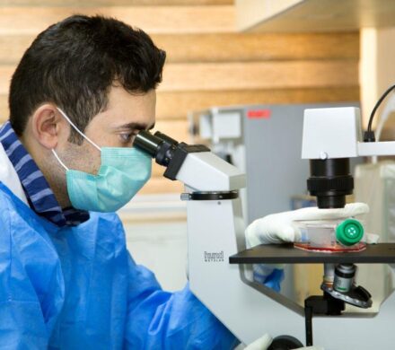 پژوهش؛ سوخت موتور توسعه همه جانبه فارس