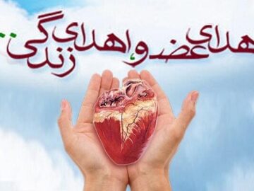 ۱۰۰ زندگی دوباره در سایه بخشندگی خانوادههای اهداکننده