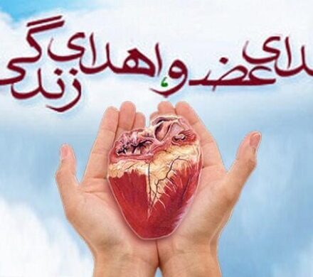 ۱۰۰ زندگی دوباره در سایه بخشندگی خانوادههای اهداکننده