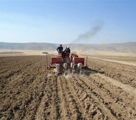 خاک ستون امنیت غذایی؛ آینده کشاورزی کرمانشاه بر شانه‌های خاک