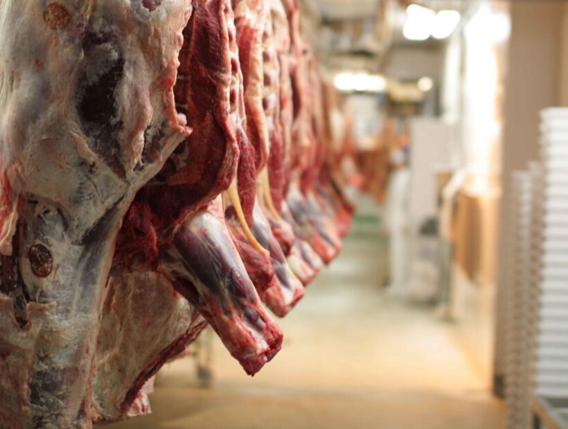 نوسازی و بهسازی کشتارگاه ۳ هزار راسی دام دوگنبدان