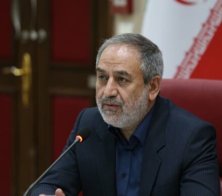 صفی خانی: تشکیل منظم کارگروههای فرعی تنظیم بازار ضروری است