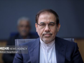 جهانگیر: برنامههای پیشگیری از جرم باید مبتنی بر آسیب شناسی باشد