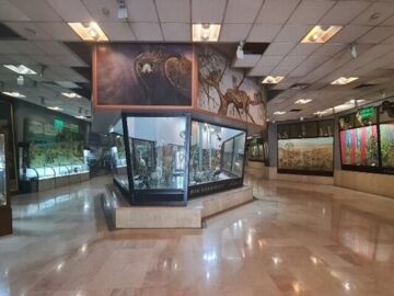 بازدید از موزه‌ها و اماکن تاریخی برای دانشجویان و اساتید رایگان شد