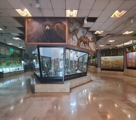 بازدید از موزهها و اماکن تاریخی برای دانشجویان و اساتید رایگان شد