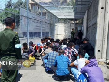 سرهنگ نوری: ۴۵۲ نفر اتباع بیگانه غیرمجاز در زاهدان جمع آوری شد