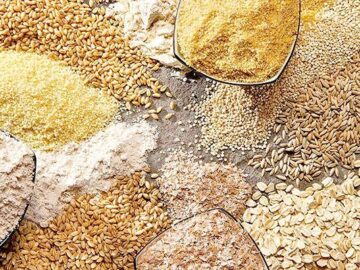 درخواست اتحادیه مرغداران تبریز: توزیع نهاده به دولت واگذار شود