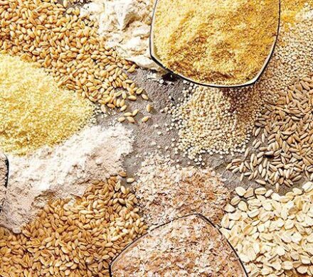 درخواست اتحادیه مرغداران تبریز: توزیع نهاده به دولت واگذار شود