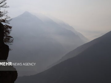 فخاری: فرد مصدوم وگمشده در جنگل دودانگه نجات یافت