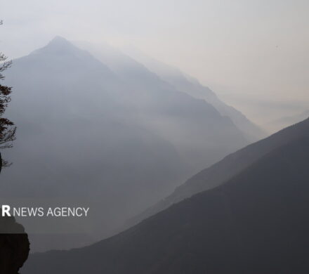 فخاری: فرد مصدوم وگمشده در جنگل دودانگه نجات یافت