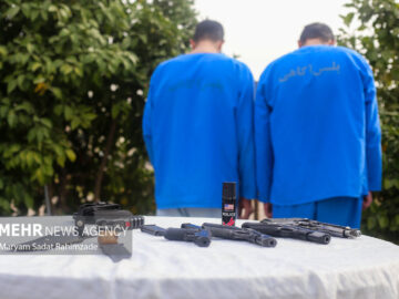 کشفیات پلیس فارس در حوزه سرقت، جعل و کلاهبرداری