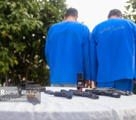 کشفیات پلیس فارس در حوزه سرقت، جعل و کلاهبرداری