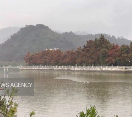 تصاویری زیبا از بارش باران پاییزی در لاهیجان