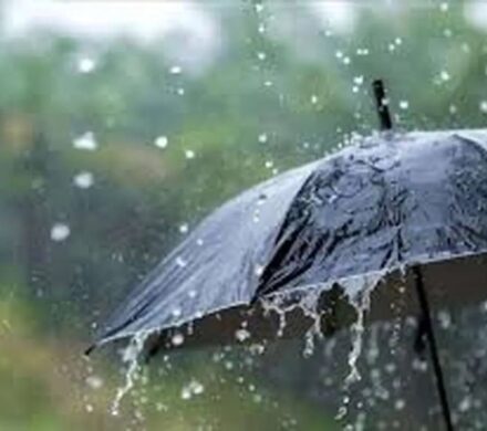 بارش باران در اصفهان