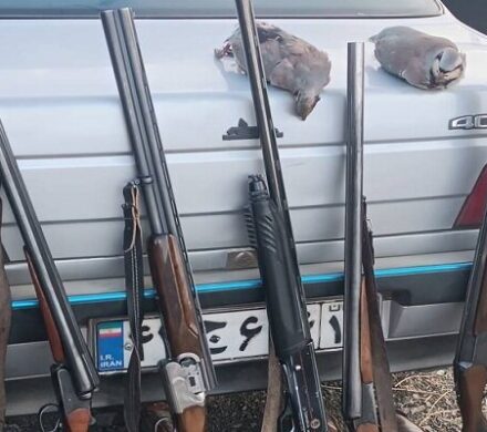 خانی: ۱۴ شکارچی متخلف در ارومیه دستگیر شدند