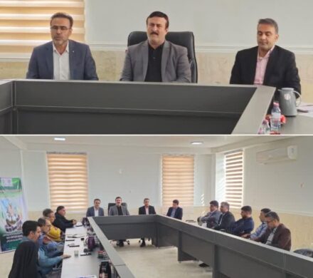 فرماندار دیلم: حفاظت از خاک نیازمند مشارکت همگانی است