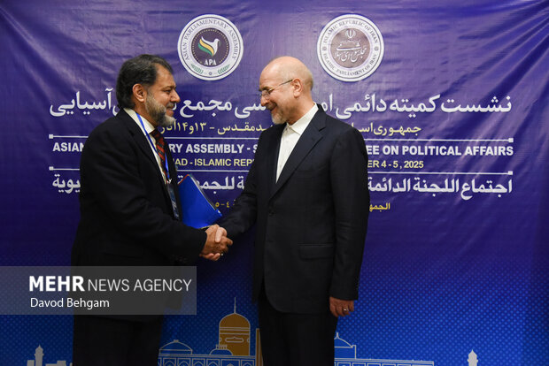 نشست کمیته دایمی امور سیاسی مجمع مجالس اسیا
