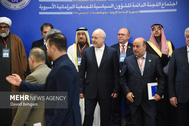 نشست کمیته دایمی امور سیاسی مجمع مجالس اسیا