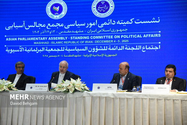 نشست کمیته دایمی امور سیاسی مجمع مجالس اسیا