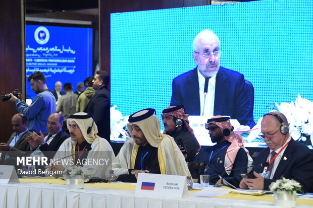 نشست کمیته دایمی امور سیاسی مجمع مجالس اسیا