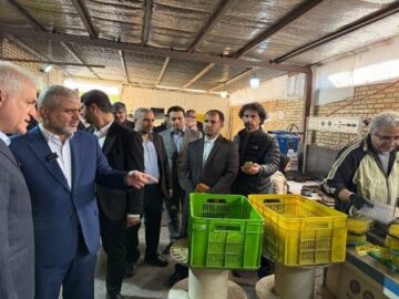 ضرورت ورود دستگاه‌های قضائی، نظارتی و اجرایی برای حل مشکلات تولید