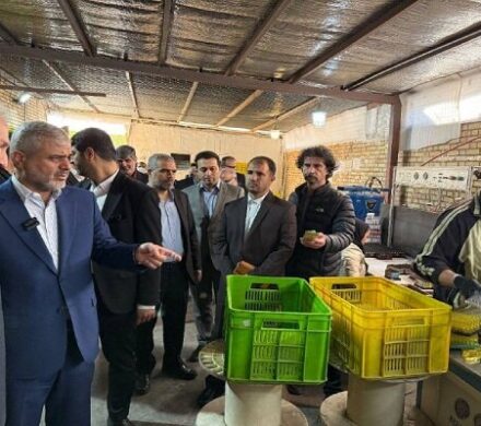 ضرورت ورود دستگاه‌های قضائی، نظارتی و اجرایی برای حل مشکلات تولید