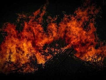 آتش سوزی در باغ‌های مرکبات نراب جیرفت؛ اعزام نیروهای امدادی به منطقه