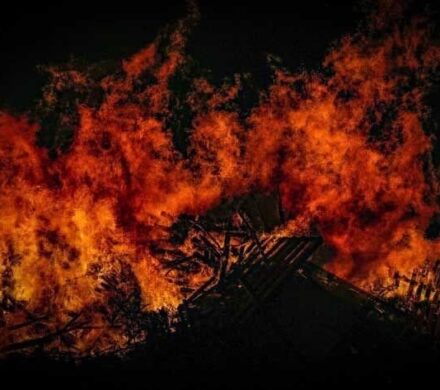 آتش سوزی در باغهای مرکبات نراب جیرفت؛ اعزام نیروهای امدادی به منطقه