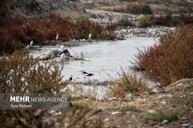 وضعیت نامطلوب قره‌سو؛ از انباشت زباله تا ورود فاضلاب شهری