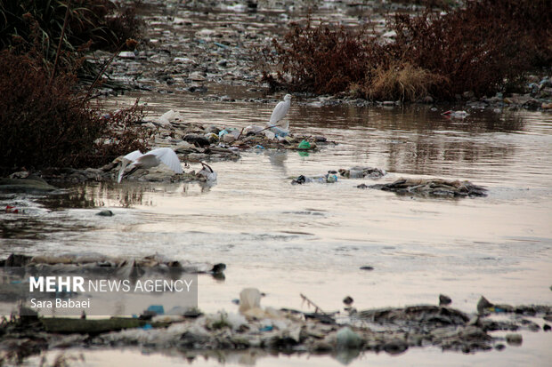 وضعیت نامطلوب قره‌سو؛ از انباشت زباله تا ورود فاضلاب شهری