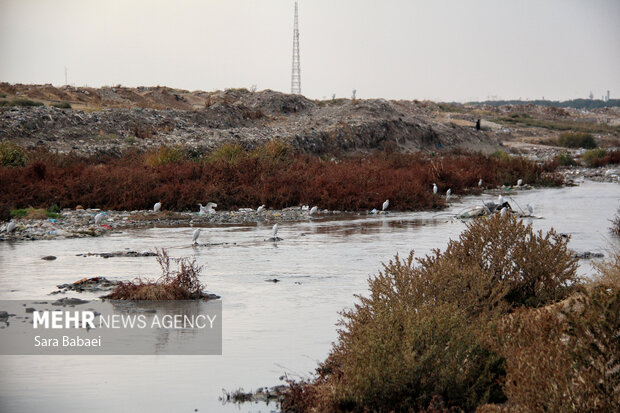 وضعیت نامطلوب قره‌سو؛ از انباشت زباله تا ورود فاضلاب شهری