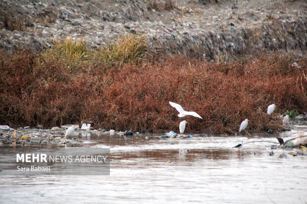 وضعیت نامطلوب قره‌سو؛ از انباشت زباله تا ورود فاضلاب شهری