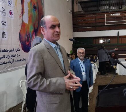 حق شناس: اسب کاسپین ظرفیت تبدیل شدن به برند بینالمللی گیلان را دارد