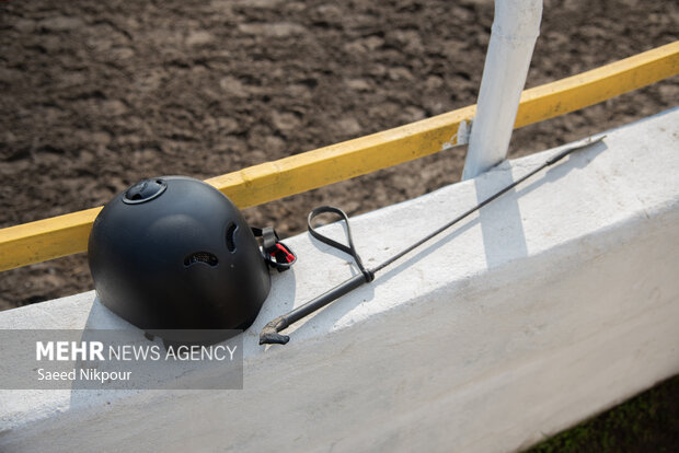 جشنواره ملی اسب نژاد کاسپین