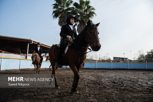 جشنواره ملی اسب نژاد کاسپین