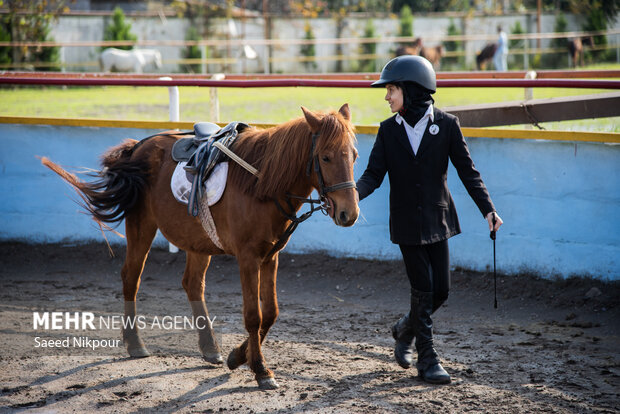 جشنواره ملی اسب نژاد کاسپین
