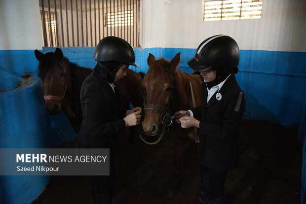 جشنواره ملی اسب نژاد کاسپین