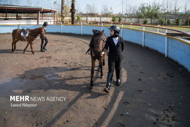 جشنواره ملی اسب نژاد کاسپین