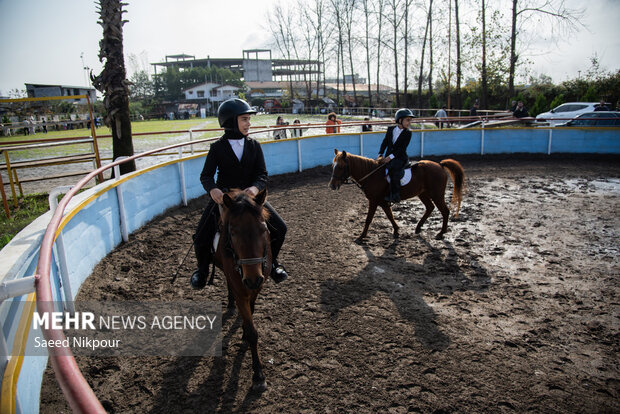 جشنواره ملی اسب نژاد کاسپین