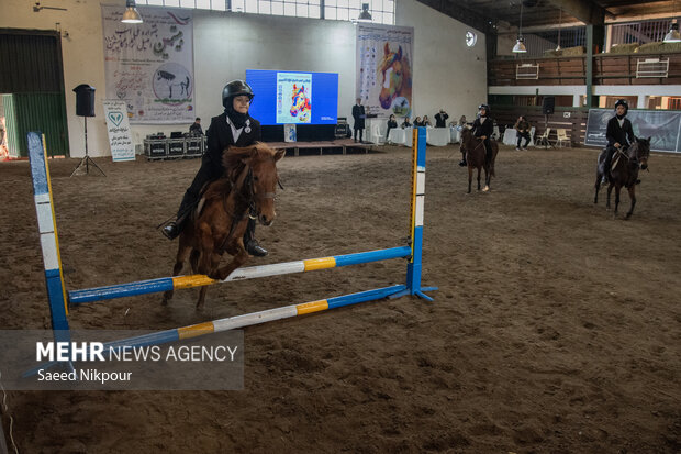 جشنواره ملی اسب نژاد کاسپین