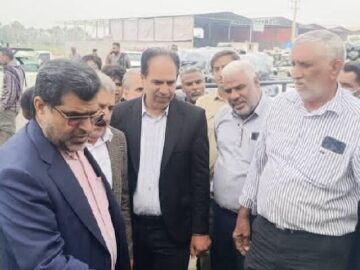 محسنی: کیفیت پایین بسته بندی محصولات کشاورزی موجب افت قیمت میشود