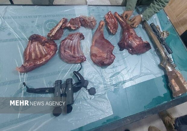 شکارچی غیرمجاز در دشتستان دستگیر شد