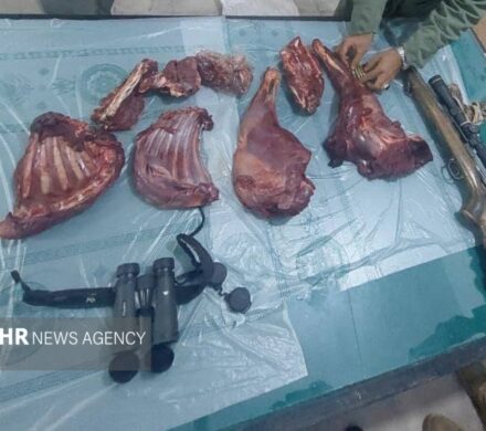 شکارچی غیرمجاز در دشتستان دستگیر شد