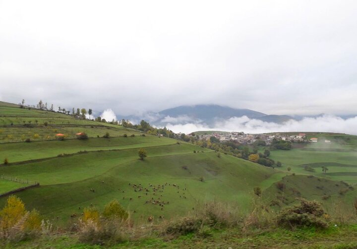 کرمی: کلید رفع محرومیت های استان ایلام در دانشگاه ها است