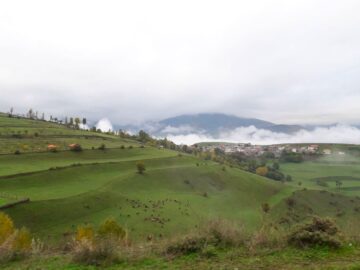 کرمی: کلید قفل محرومیت های استان ایلام در دانشگاه ها است
