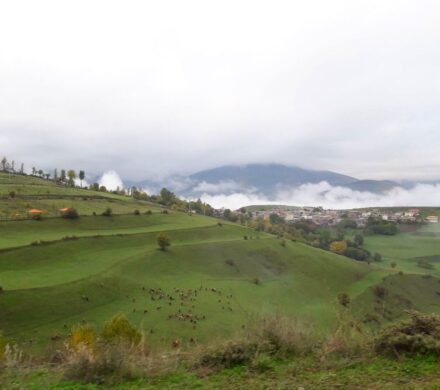 کرمی: کلید قفل محرومیت های استان ایلام در دانشگاه ها است
