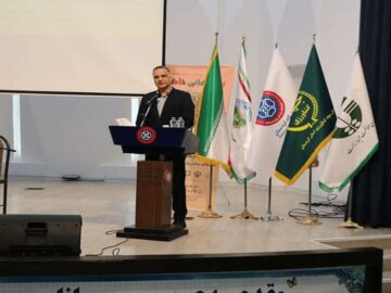 آنجفی: طرح پایداری تولید در دیمزارهای کشور اجرا می‌شود