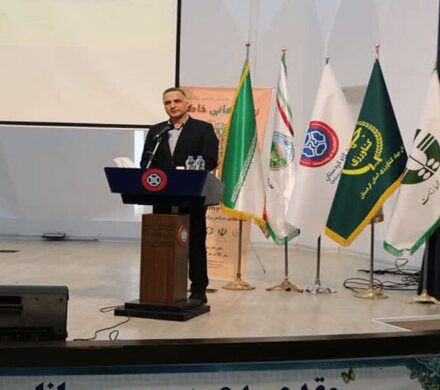 آنجفی: طرح پایداری تولید در دیمزارهای کشور اجرا میشود