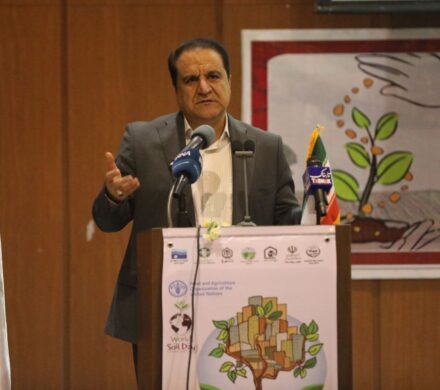 کرمی: تکمیل ۱۶ ایستگاه پمپاژ آب کشاورزی ایلام در اولویت دولت است